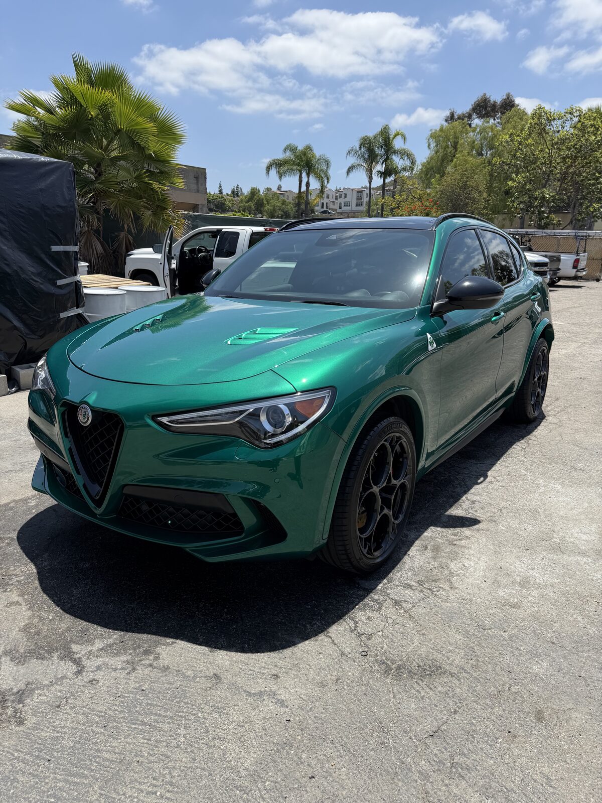 Alfa Romeo Stelvio after mobile detail