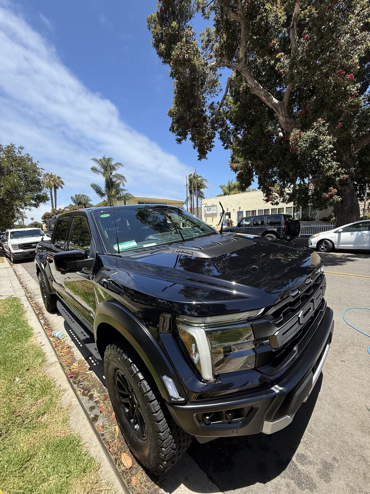 Ford Raptor after mobile detail